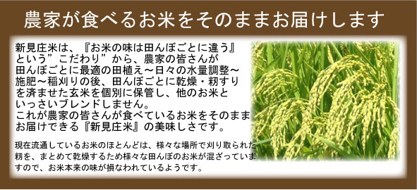 田んぼごと
